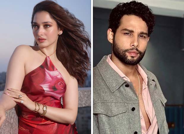 EXCLUSIVE: Tamannaah Bhatia signs Siddhant Chaturvedi-starrer Chitrapati V Shantaram : Bollywood News